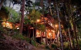 Currumbin Rainforest Treehouse